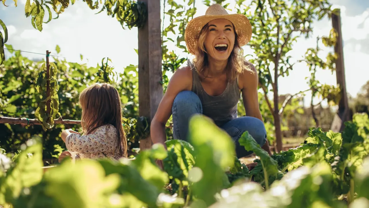 Fem tips för mer fåglar och insekter