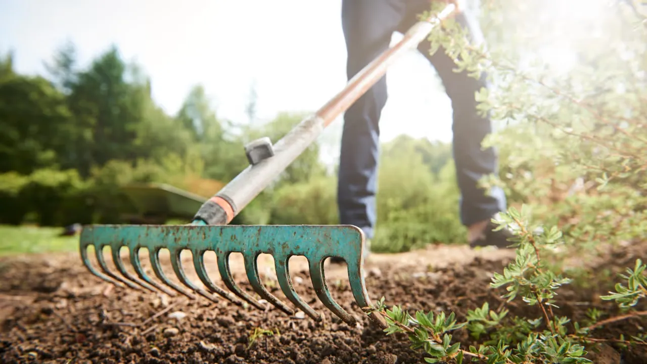 Skapa din egen gröna oas